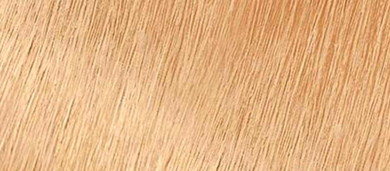 High Lift Blonde Hair Color | GARNIER